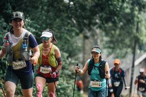 BIB: 
                            <button type="button" onclick="openModal(25705270)" class="btn btn-primary btn-sm float-right btn-popup" data-toggle="modal" data-target=".modal-high-quality">
                        <i class="fas fa-shopping-cart"></i> Add to Cart
                    </button>
                                            <button type="button" onclick="isThisMe(25705270, true)" class="btn btn-success btn-sm float-right btn-popup btn-isme hidden" data-toggle="tooltip" data-placement="bottom" title="นี่คือรูปของคุณใช่ไหม คลิกที่นี่เพื่อเอาเข้าอัลบั้ม">
                        <i class="fas fa-plus"></i> Add to album
                    </button>
                    <button type="button" onclick="isThisMe(25705270, false)" class="btn btn-warning btn-sm float-right btn-popup btn-isnotme hidden">
                        <i class="fas fa-ban"></i> Remove from album
                    </button>